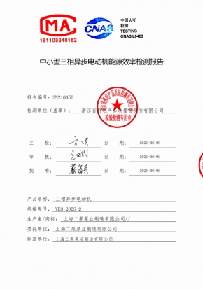 電（diàn）機能效報告YE3-280S-2